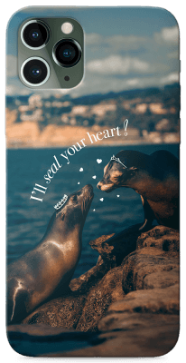 Seal Love