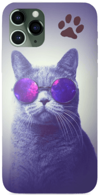 Cool Silver Cat