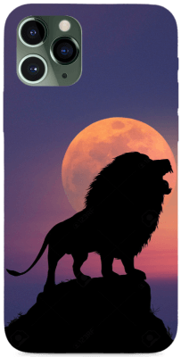 Lion&Moon