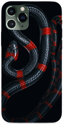 Kígyó