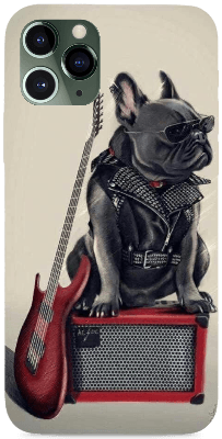Zenész francia bulldog