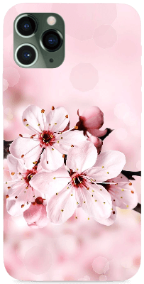 Cseresznyevirág