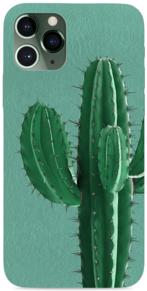 Kaktusz rajz, festmény