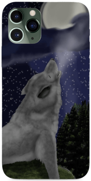 Üvöltő farkas az éjszakában