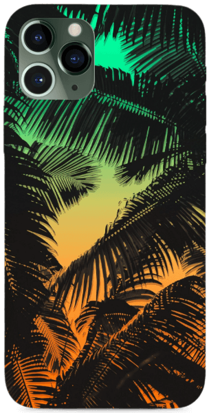 Summer palm