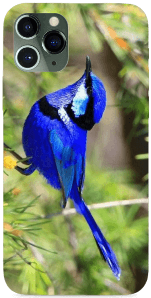 A kék madár