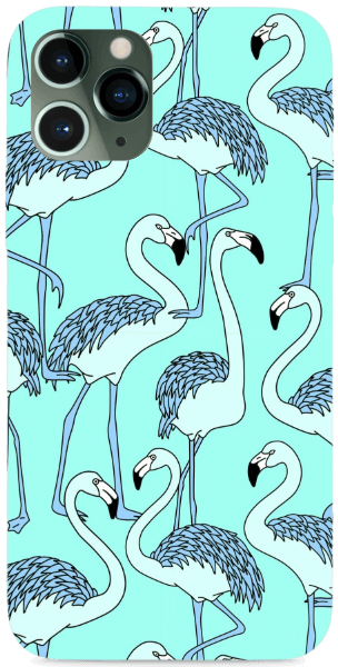 Turquoise flamingo