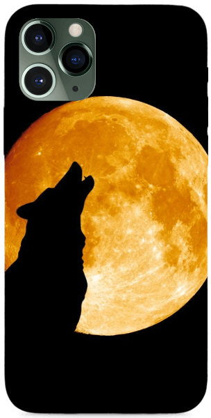 Üvöltő farkas holdfényben
