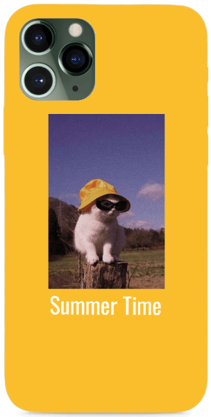Sunmer Time Cat