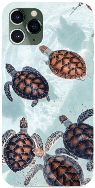 Tengeri teknősök