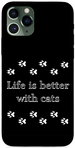 Az élet jobb cicákkal