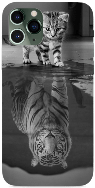 cica-tigris