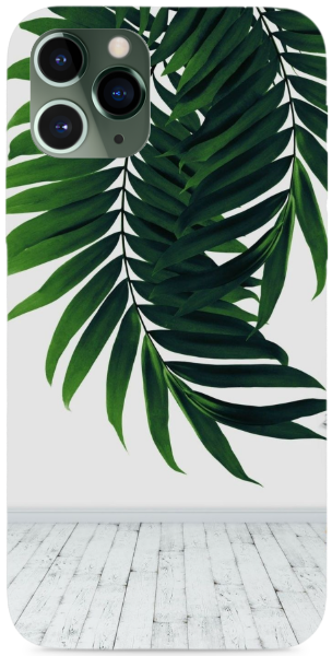 Palm leaf