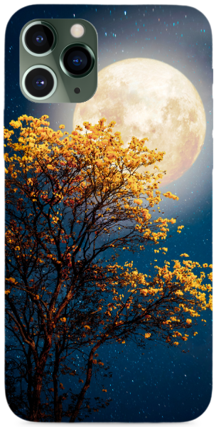 Autumn in moonlight