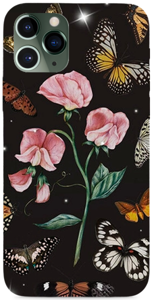 Rose and Butterflies