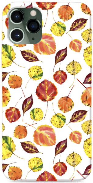 őszi levelek- átlátszó háttér